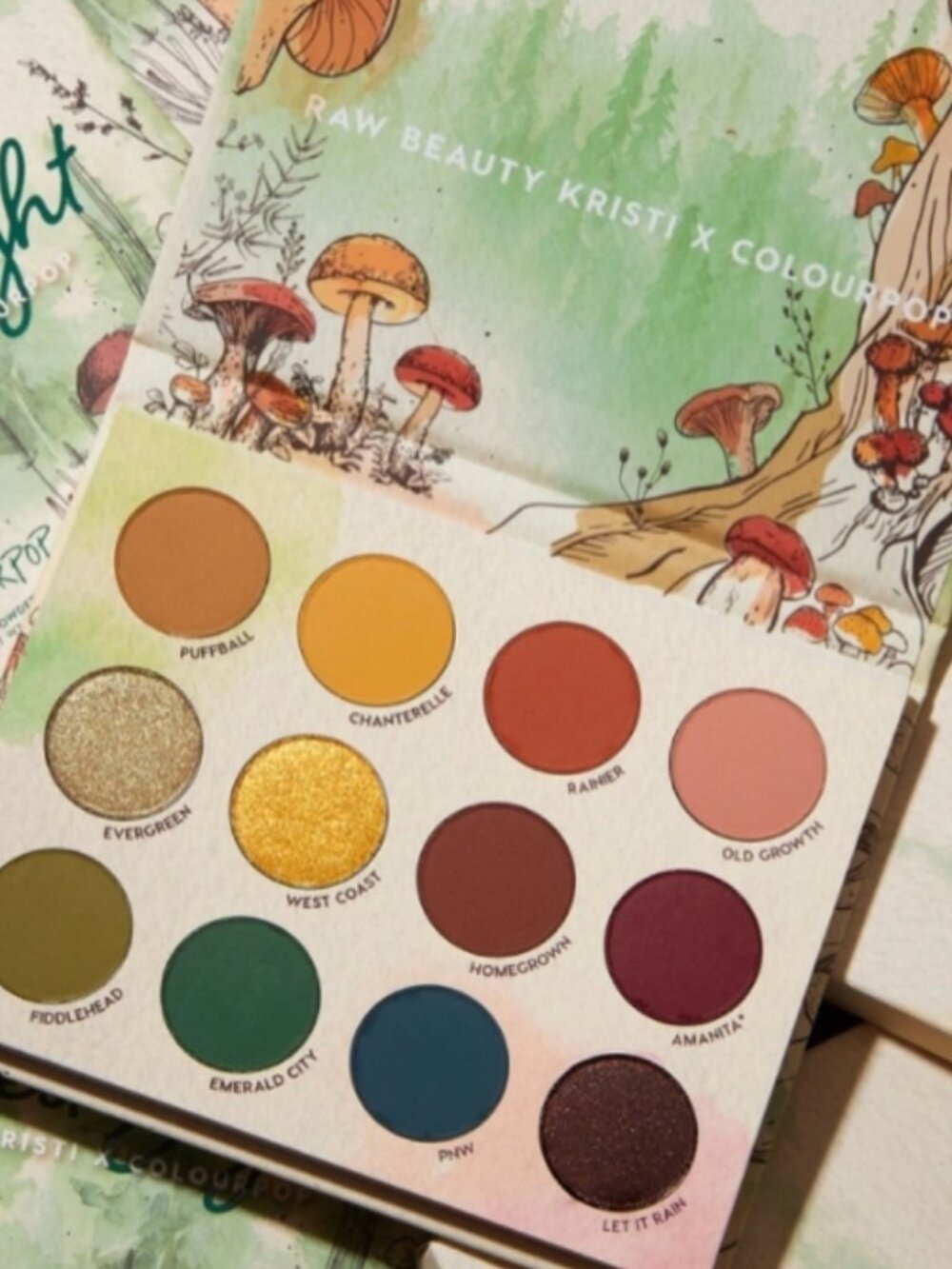 COLOURPOP x RAW BEAUTY KRISTI 'At Forest Sight' Eyeshadow Palette - 12 shades
